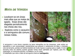 O tipo de desenvolvimento mais adequado para essa regiãoFloresta X desenvolvimento – Ainda há tempo para que a Amazônia não repita a história da Mata Atlântica. Existem, felizmente, alternativas. O ponto de partida é mudar os pressupostos e as orientações das políticas públicas e o comportamento e os valores de cada um de nós.   O desenvolvimento pode, sim, ser feito com a manutenção das florestas. Entretanto isso não deverá ser resultado do altruísmo dos indígenas, extrativistas, colonos, fazendeiros e empresários. Necessitamos de políticas públicas capazes de mudar a lógica econômica da fronteira do desmatamento. A equação é simples. A manutenção das florestas deve ser economicamente mais rentável do que os benefícios do garimpo florestal e da agropecuária. Para isso, o produtor rural tem que obter melhores rendimentos dos produtos florestais madeireiros e não-madeireiros e dos serviços ambientais prestados por suas florestas (conservação dos rios, biodiversidade, clima, etc).