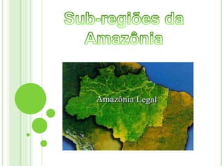 Sub-regiões da Amazônia 