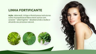 LINHA FORTIFICANTE
Ação: Jaborandi, Urtiga e Alumã possui estruturas
como mucopolissacarideos entre outras com
caracter “ adstringente “ desobstruindo o bulbo e
ativando seu processo natural.
 