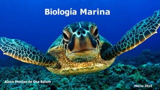 Biología Marina
Alexa Montes de Oca Balam
Marzo 2015
 