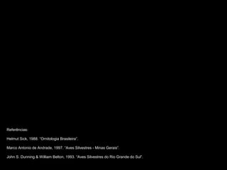 Referências:
Helmut Sick, 1988. “Ornitologia Brasileira”.
Marco Antonio de Andrade, 1997. “Aves Silvestres - Minas Gerais”.
John S. Dunning & William Belton, 1993. “Aves Silvestres do Rio Grande do Sul”.
 