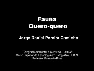 Fauna
Quero-quero
Fotografia Ambiental e Científica – 2016/2
Curso Superior de Tecnologia em Fotografia / ULBRA
Professor Fernando Pires
Jorge Daniel Pereira Caminha
 