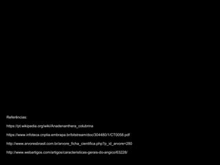 Referências:
https://pt.wikipedia.org/wiki/Anadenanthera_colubrina
https://www.infoteca.cnptia.embrapa.br/bitstream/doc/304480/1/CT0058.pdf
http://www.arvoresbrasil.com.br/arvore_ficha_cientifica.php?p_id_arvore=280
http://www.webartigos.com/artigos/caracteristicas-gerais-do-angico/63228/
 