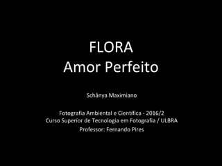 FLORA
Amor Perfeito
Schânya Maximiano
Fotografia Ambiental e Científica - 2016/2
Curso Superior de Tecnologia em Fotografia / ULBRA
Professor: Fernando Pires
 