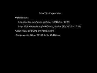 Ficha Técnica pesquisa
•Referências:
http://jardim.info/amor-perfeito (30/10/16 – 17:55)
https://pt.wikipedia.org/wiki/Viola_tricolor (30/10/16 – 17:55)
•Local: Praça do DMAE em Porto Alegre
•Equipamento: Nikon D7100, lente 18-200mm
 