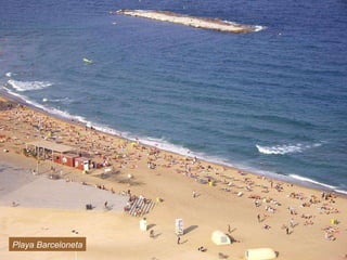 Playa Barceloneta 