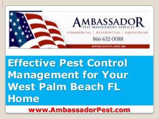 Effective Pest Control
Management for Your
West Palm Beach FL
Home
   www.AmbassadorPest.com
 