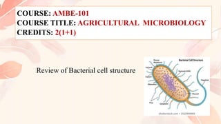COURSE: AMBE-101
COURSE TITLE: AGRICULTURAL MICROBIOLOGY
CREDITS: 2(1+1)
Review of Bacterial cell structure
 