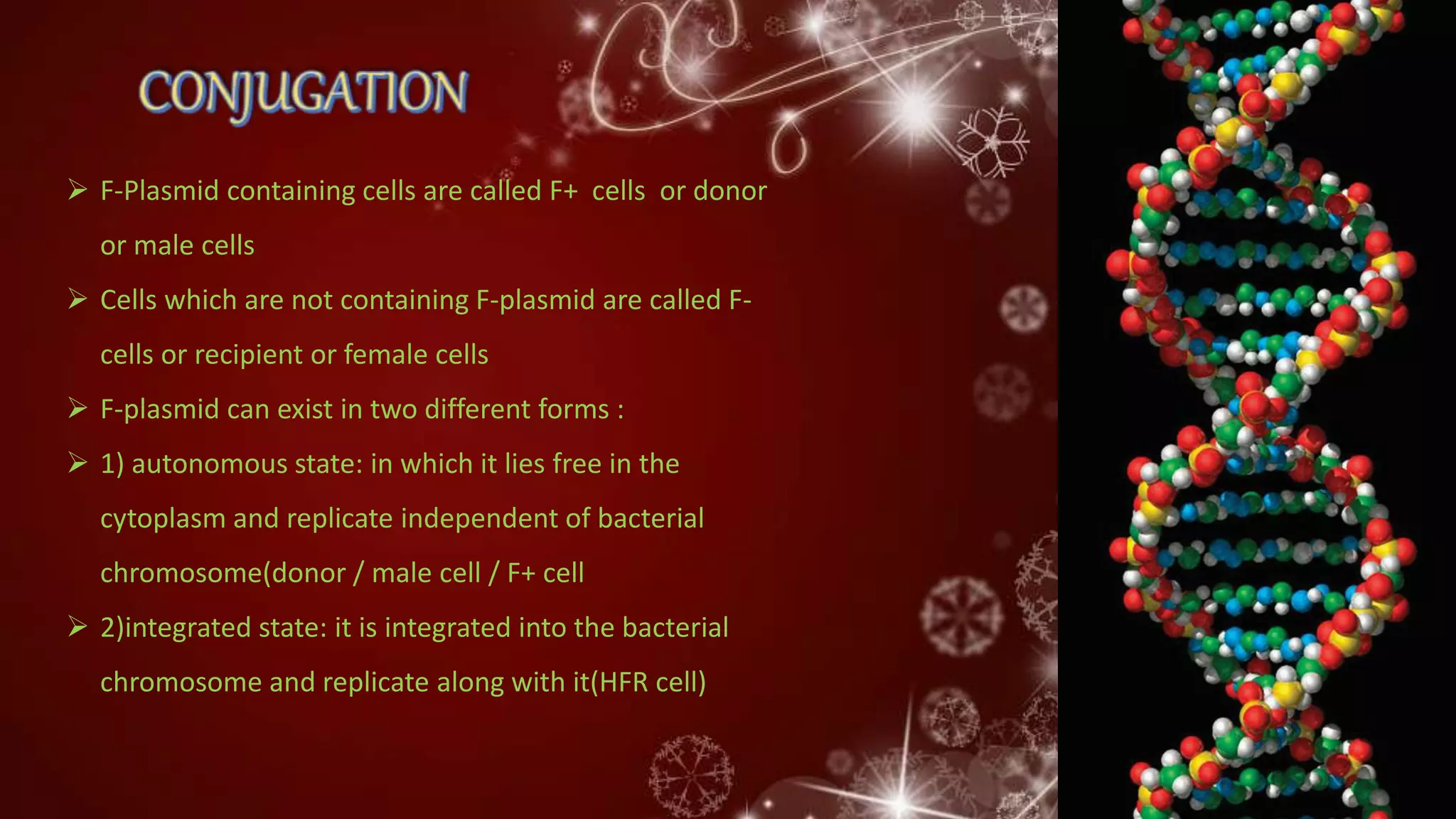  F-Plasmid containing cells are called F+ cells or donor
or male cells
 Cells which are not containing F-plasmid are called F-
cells or recipient or female cells
 F-plasmid can exist in two different forms :
 1) autonomous state: in which it lies free in the
cytoplasm and replicate independent of bacterial
chromosome(donor / male cell / F+ cell
 2)integrated state: it is integrated into the bacterial
chromosome and replicate along with it(HFR cell)
 