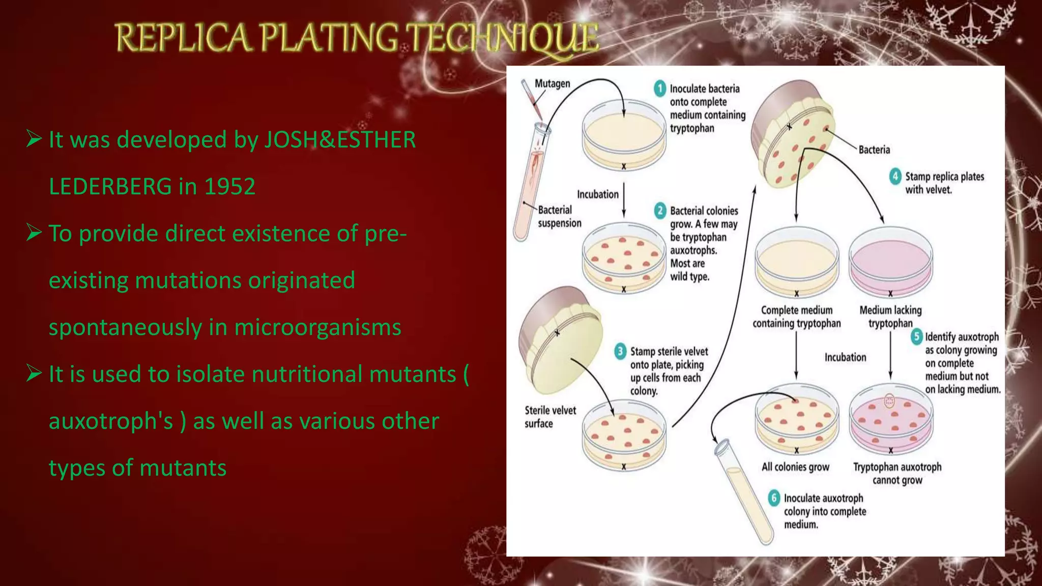 It was developed by JOSH&ESTHER
LEDERBERG in 1952
To provide direct existence of pre-
existing mutations originated
spontaneously in microorganisms
It is used to isolate nutritional mutants (
auxotroph's ) as well as various other
types of mutants
 