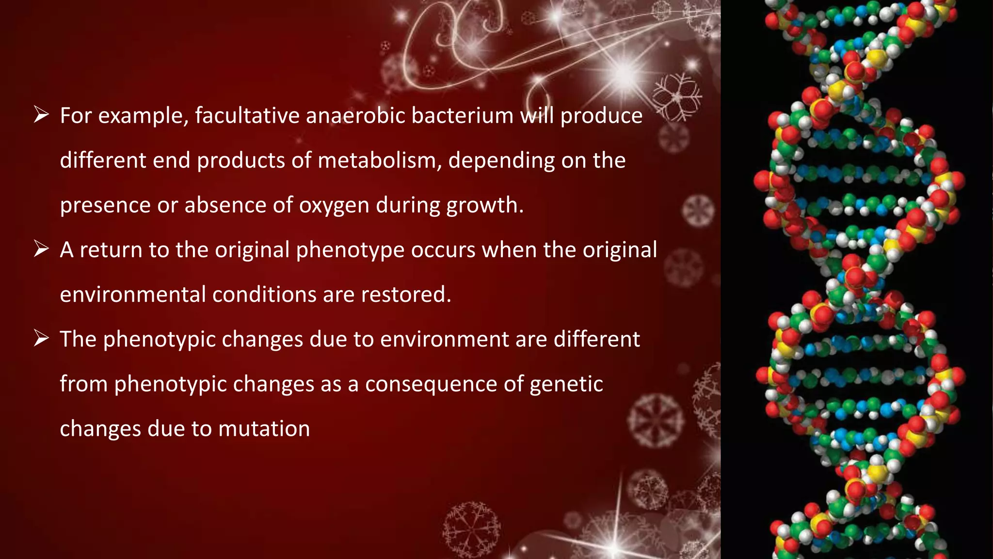  For example, facultative anaerobic bacterium will produce
different end products of metabolism, depending on the
presence or absence of oxygen during growth.
 A return to the original phenotype occurs when the original
environmental conditions are restored.
 The phenotypic changes due to environment are different
from phenotypic changes as a consequence of genetic
changes due to mutation
 