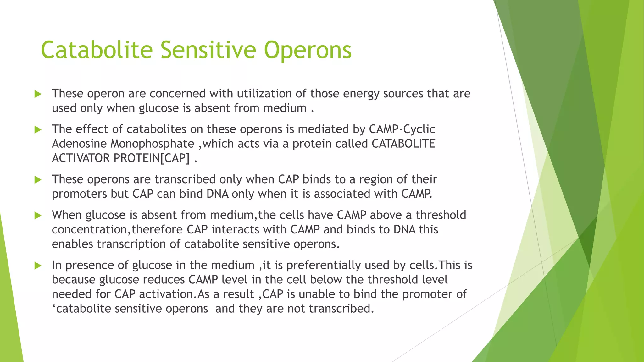 Catabolite Sensitive Operons
 These operon are concerned with utilization of those energy sources that are
used only when glucose is absent from medium .
 The effect of catabolites on these operons is mediated by CAMP-Cyclic
Adenosine Monophosphate ,which acts via a protein called CATABOLITE
ACTIVATOR PROTEIN[CAP] .
 These operons are transcribed only when CAP binds to a region of their
promoters but CAP can bind DNA only when it is associated with CAMP.
 When glucose is absent from medium,the cells have CAMP above a threshold
concentration,therefore CAP interacts with CAMP and binds to DNA this
enables transcription of catabolite sensitive operons.
 In presence of glucose in the medium ,it is preferentially used by cells.This is
because glucose reduces CAMP level in the cell below the threshold level
needed for CAP activation.As a result ,CAP is unable to bind the promoter of
‘catabolite sensitive operons and they are not transcribed.
 