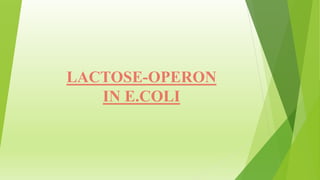 LACTOSE-OPERON
IN E.COLI
 