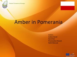 Amber in Pomerania Autors: Łukasz Gocał  Karol Kot  Przemysław Nowak Rafał Matczak Natural Treasures of Europe 
