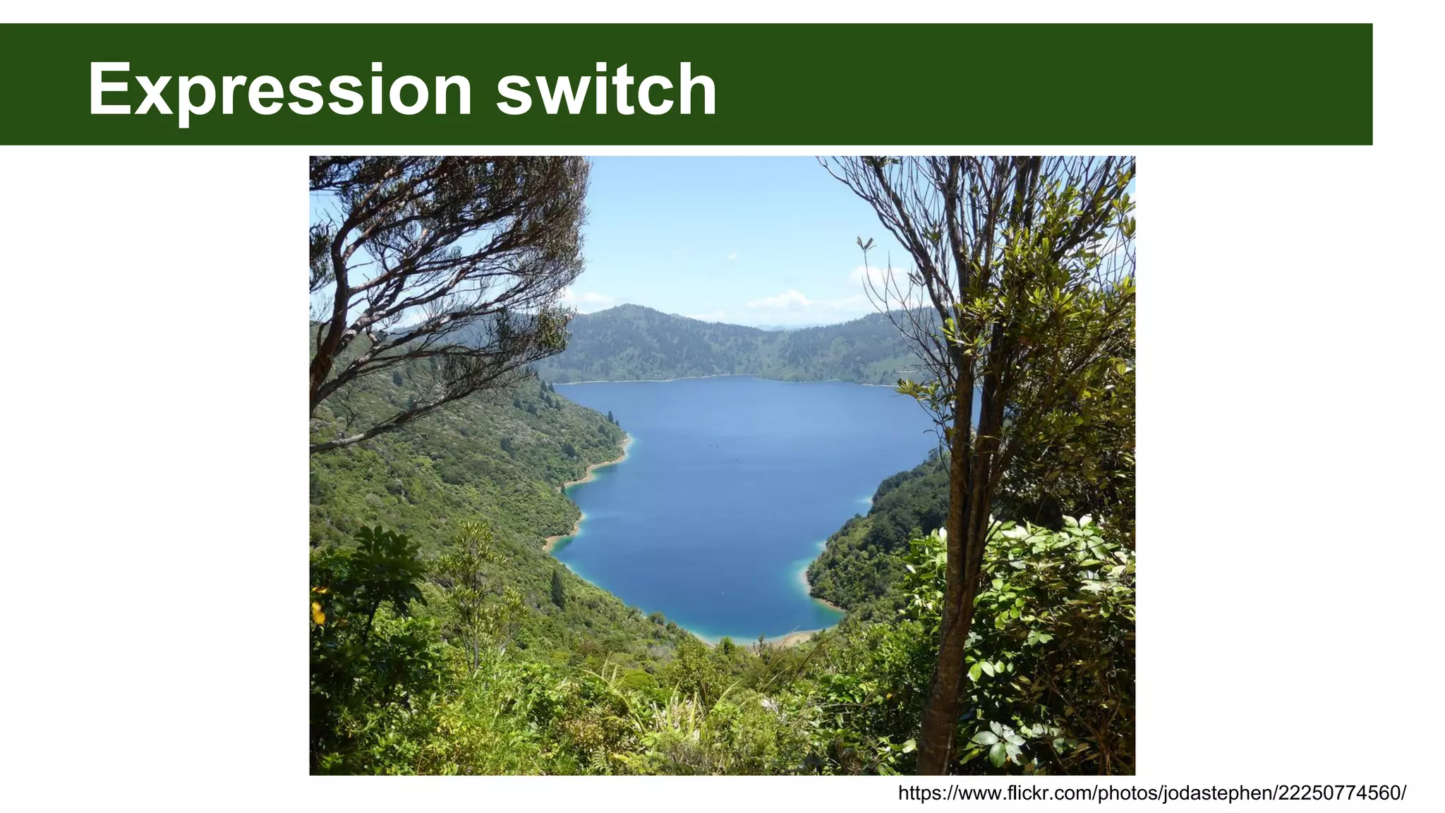 Expression switch
https://www.flickr.com/photos/jodastephen/22250774560/
 