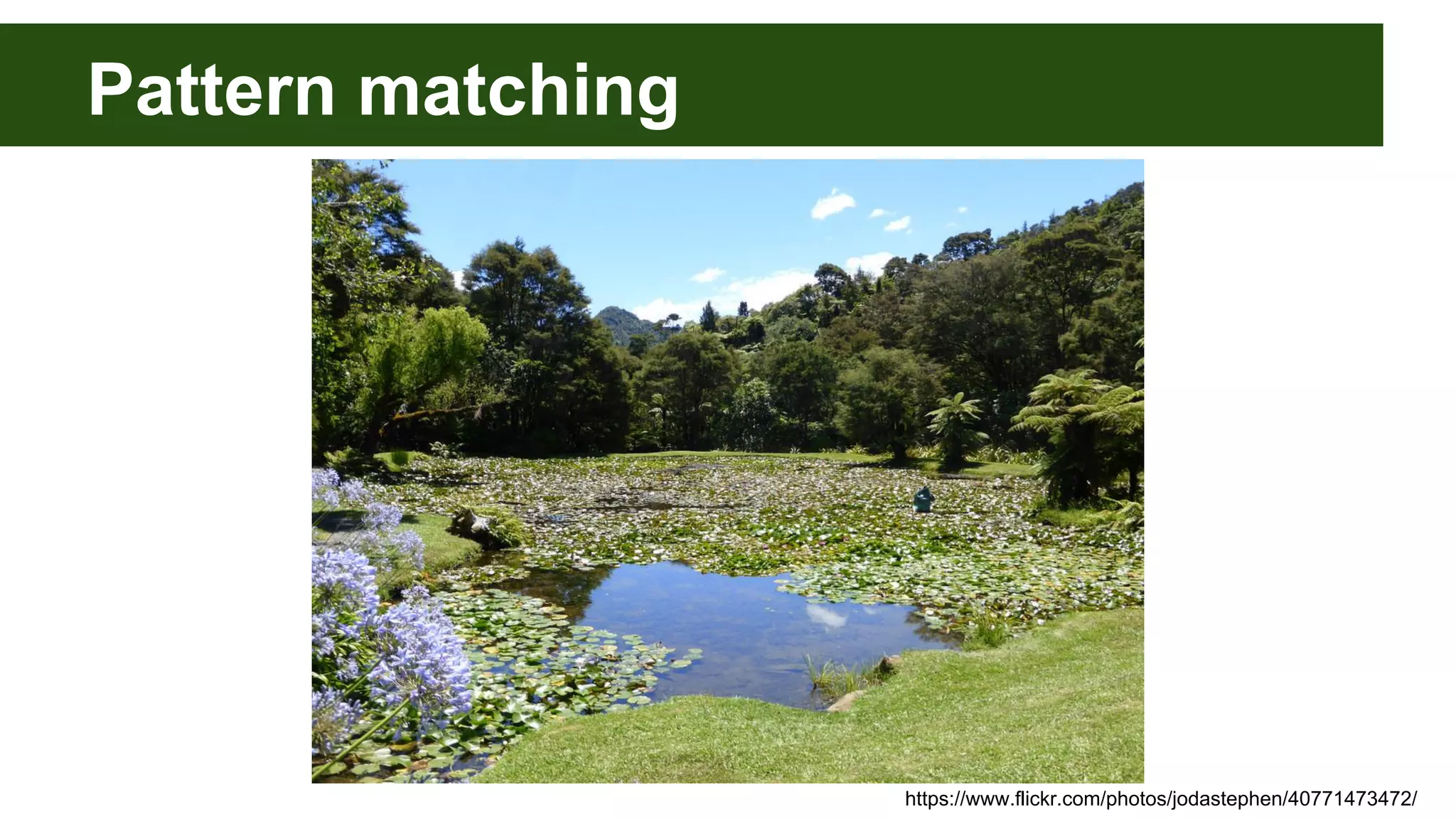 Pattern matching
https://www.flickr.com/photos/jodastephen/40771473472/
 