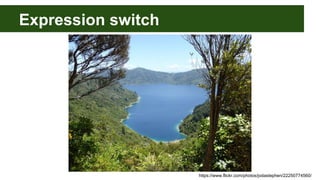 Expression switch
https://www.flickr.com/photos/jodastephen/22250774560/
 