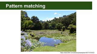 Pattern matching
https://www.flickr.com/photos/jodastephen/40771473472/
 