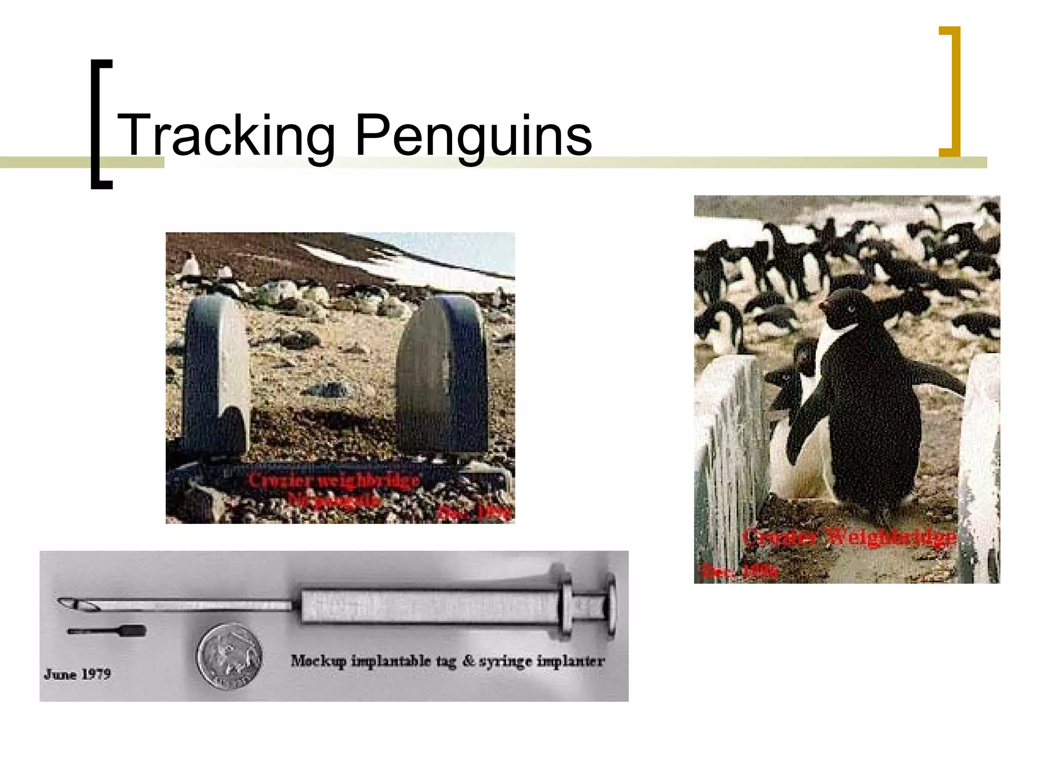 Tracking Penguins

 