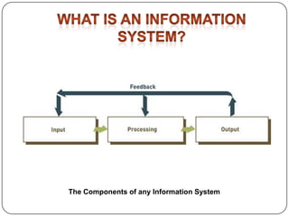 The Components of any Information System

 