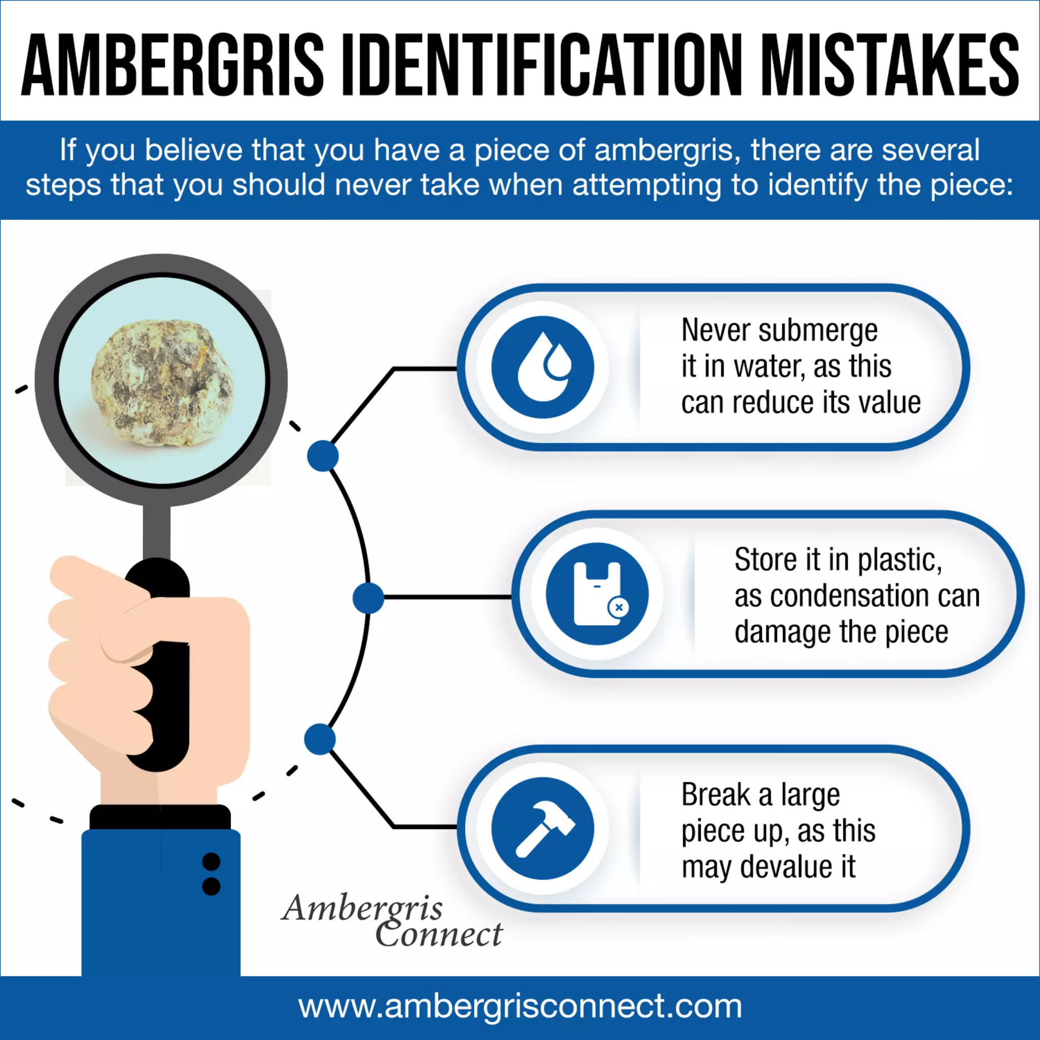Ambergris Identification Mistakes | PDF
