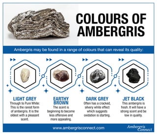 Colours of Ambergris