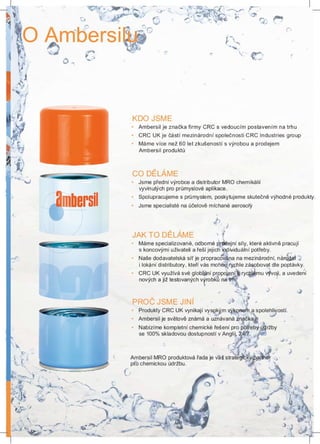 Ambersil katalog 