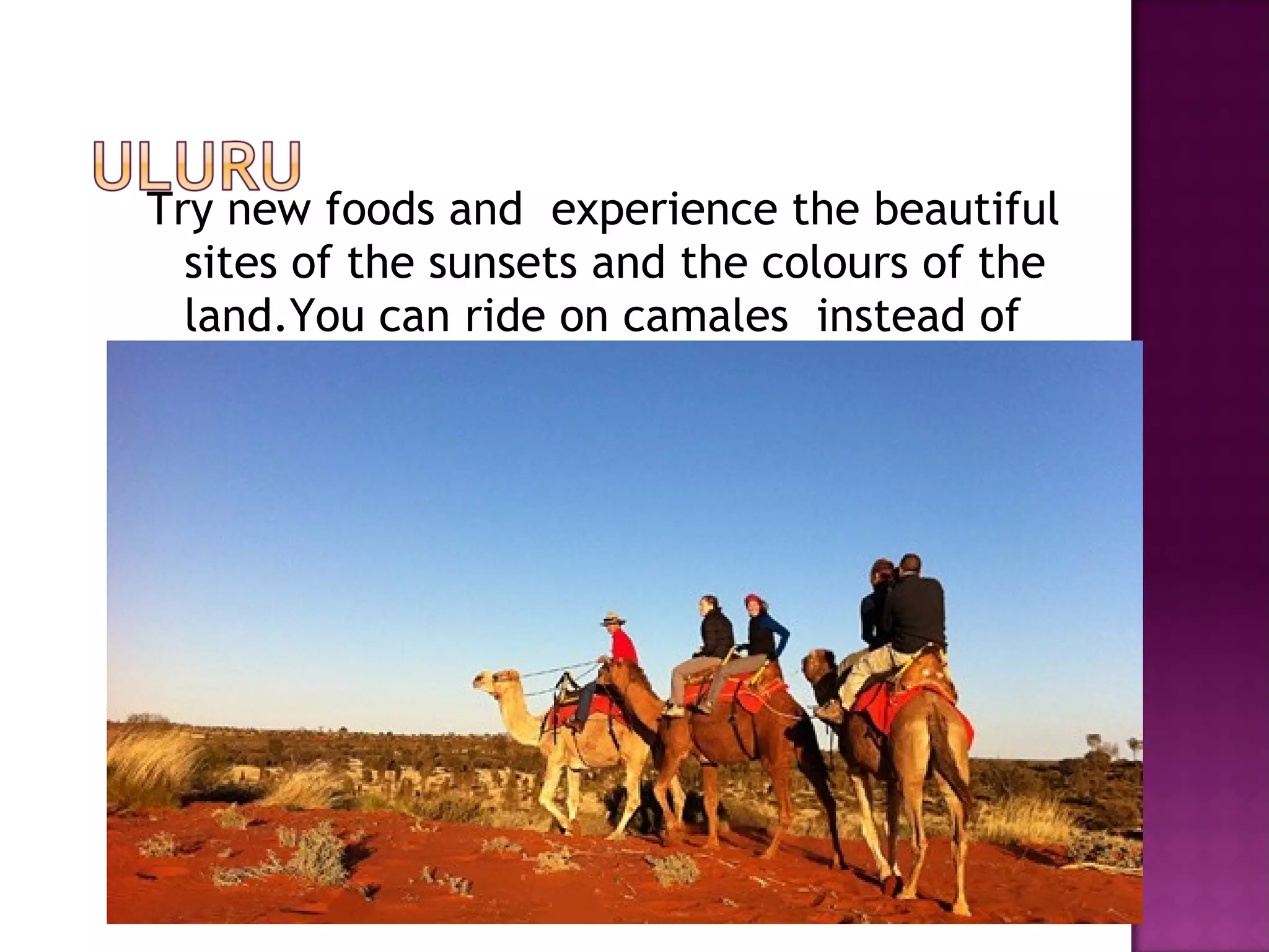 Try new foods and experience the beautiful
sites of the sunsets and the colours of the
land.You can ride on camales instead of
walking!!