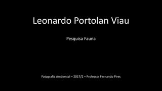 Leonardo Portolan Viau
Pesquisa Fauna
Fotografia Ambiental – 2017/2 – Professor Fernando Pires
 