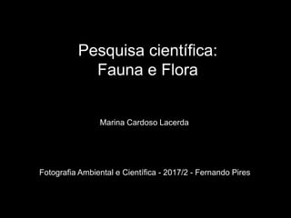 Pesquisa científica:
Fauna e Flora
Marina Cardoso Lacerda
Fotografia Ambiental e Científica - 2017/2 - Fernando Pires
 