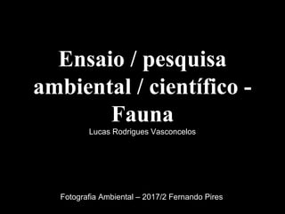 Ensaio / pesquisa
ambiental / científico -
Fauna
Lucas Rodrigues Vasconcelos
Fotografia Ambiental – 2017/2 Fernando Pires
 