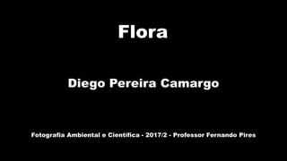Diego Pereira Camargo
Flora
Fotografia Ambiental e Científica - 2017/2 - Professor Fernando Pires
 