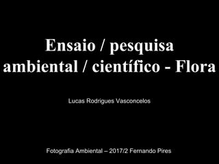 Ensaio / pesquisa
ambiental / científico - Flora
Lucas Rodrigues Vasconcelos
Fotografia Ambiental – 2017/2 Fernando Pires
 