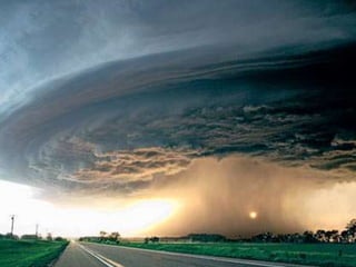 Fotógrafos Ambientais