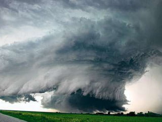 Fotógrafos Ambientais