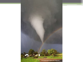 Fotógrafos Ambientais