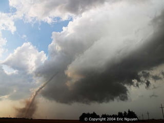 Fotógrafos Ambientais