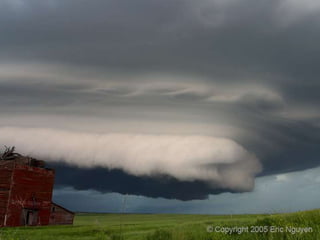 Fotógrafos Ambientais