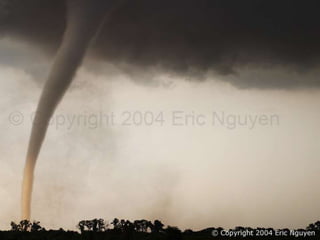 Fotógrafos Ambientais