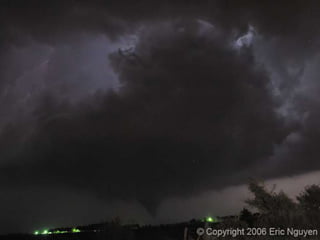 Fotógrafos Ambientais