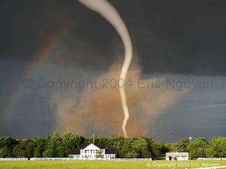 Fotógrafos Ambientais