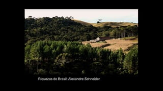 Riquezas do Brasil, Alexandre Schneider
 