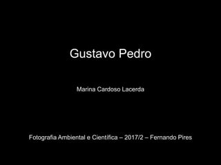 Gustavo Pedro
Marina Cardoso Lacerda
Fotografia Ambiental e Científica – 2017/2 – Fernando Pires
 