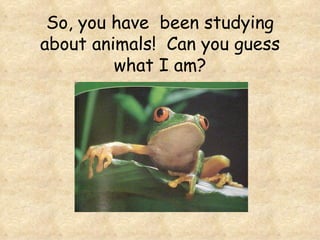 So, you have been studying
about animals! Can you guess
         what I am?
 