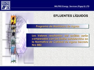 Wilpro Environmental Impact and Monitoring Program of WILPRO Energy Services ...