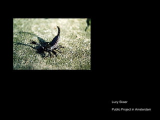 Lucy Skaer Public Project in Amsterdam 