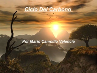 Ciclo Del Carbono




Por Mario Campillo Valencia
 