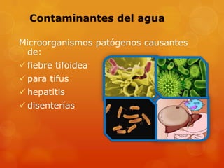 Agua Potable Salud Ambiental | PPTX