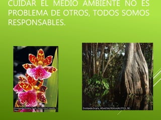CUIDAR EL MEDIO AMBIENTE NO ES
PROBLEMA DE OTROS, TODOS SOMOS
RESPONSABLES.
 