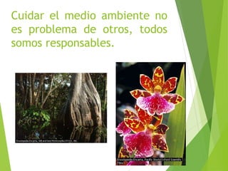 Cuidar el medio ambiente no
es problema de otros, todos
somos responsables.
 